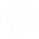 Texas State Roleplay I VC Optional's icon