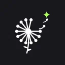 wish design