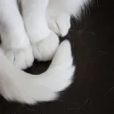 ƙׁׅ֑ɑׁׅ֮tׁׅ's męñų discord icon