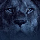 𝚅𝙴𝙰𝙻𝚄𝙽𝙴 discord icon