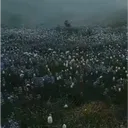 ~ the mystery of the meadow