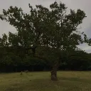 Quiet Place