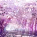 Blossoms