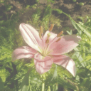 eunoia