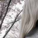 /amorr