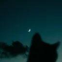 𝑀𝑖𝑑𝑛𝑖𝑔ℎ𝑡 #FR 🌙