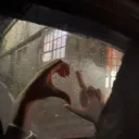 ℛℴℴ𝒻𝓉ℴ𝓅 𝓇𝒾𝓋𝒶𝓁𝓈