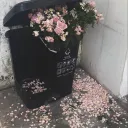 nothing stayed after you left