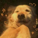 🐾𝑻𝒉𝒆 𝑭𝒍𝒖𝒇𝒇𝒚 𝑺𝒆𝒓𝒗𝒆𝒓🐾 (2)