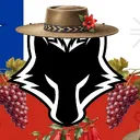 𝙒𝙤𝙡𝙛𝙠𝙞𝙣𝙜 𝙩𝙚𝙖𝙢 (chile season) 🇨🇱 discord icon