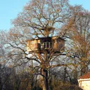 La cabane perchée discord icon