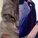 Server Icon