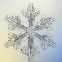 Frost Hub ❄ Discord server icon