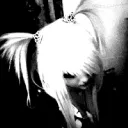 /bunbun
