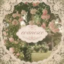 ☁　evanesce　ꜜ　。social﹒games﹒gwys