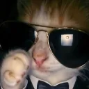 missmommykats heaven of smut Discord server icon