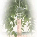 ᜊ𓏼。﹒lunivα ﹒
