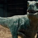 Dino Land discord icon