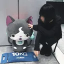 meow mix