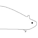 Skid Guides