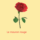 🌷Le mouron rouge🔴