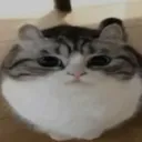 PAW