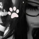 /pαwrty 🐾