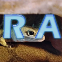 Server Icon