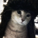 unleash Server Icon
