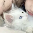 ♡ ♡