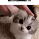 /hdabla