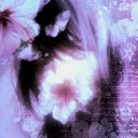 Velvet Reverie discord icon