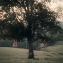 ⤷ ゛Quiet Valley ˎˊ˗
