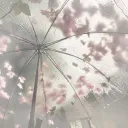 dti   αsαne  .﹒   ֹ    ﹒