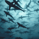 The Depths