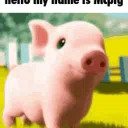 Pigcord