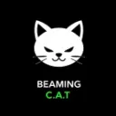 beaming cat discord icon
