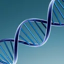Genetics