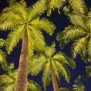 𝐀𝐟𝐭𝐞𝐫 𝐇𝐨𝐮𝐫𝐬 🌴 discord icon