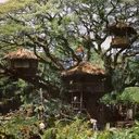celery house