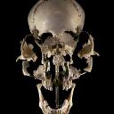 Skull's Tomb Icon