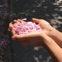 ☆ ᐟᐟ 𝓡𝐨𝐬𝐞𝐰𝐨𝐨𝐝 𝓤𝐧𝐢𝐯𝐞𝐫𝐬𝐢𝐭𝐲 𝜗𝜚࿔