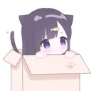 meow ♡