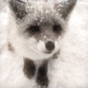Server Icon