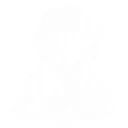 vsf discord