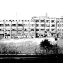 Sagwa Institute