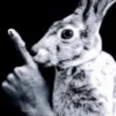 Server icon