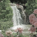 Cupid’s Garden Server Icon