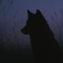 wölfins rudel,refugium [schneeGebierge] , discord icon
