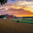 The Track